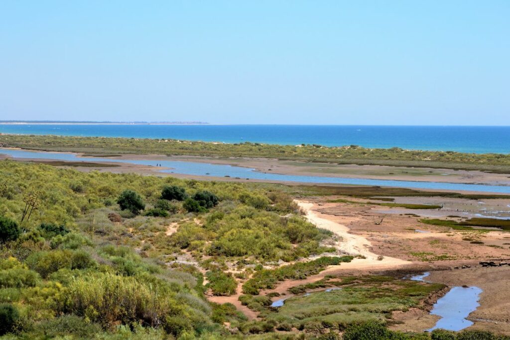 ria-formosa-algarve.